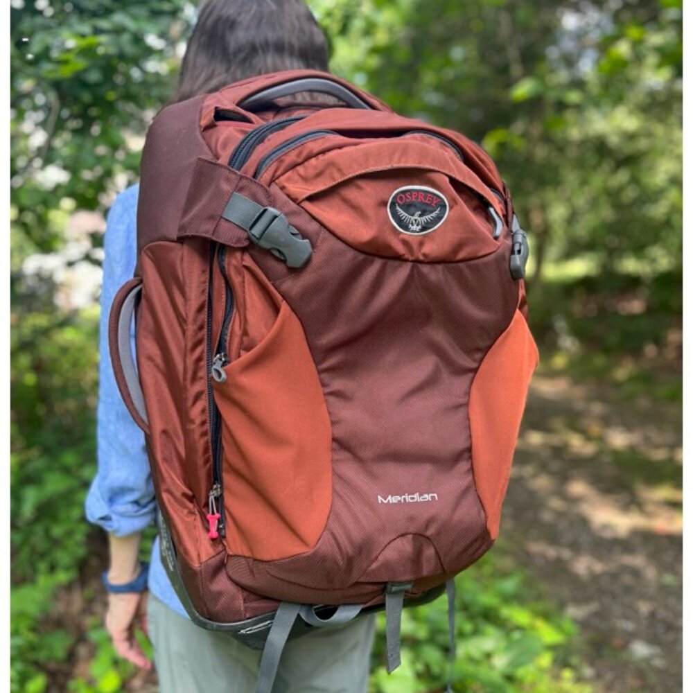 Osprey Meridian Wheeled Convertible Rolling Backpack 22 inch with dayback, 60L - Picture 3 of 16